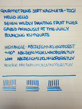 Load image into Gallery viewer, Drops of Joy "Take a Chance" Fountain Pen + Soft-Naginata Togi Nib