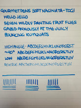 Load image into Gallery viewer, Drops of Joy "Happy" Fountain Pen + Soft-Naginata Togi Nib