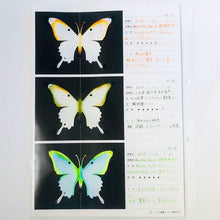 Load image into Gallery viewer, Ink Paper Chromatography Kit
