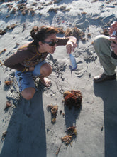 Load image into Gallery viewer, Tailored Pen Company x Gourmet Pens Portguese man o' war Fountain Pen