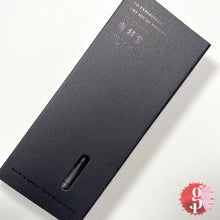 Load image into Gallery viewer, Fine Writing International Fenestro Demonstrator Fountain Pen - Silver