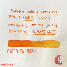Load image into Gallery viewer, Gourmet Pens x Ink Institute - 01 Puffin's Beak