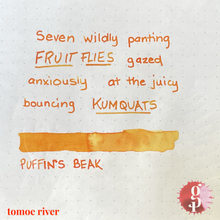 Load image into Gallery viewer, Gourmet Pens x Ink Institute - 01 Puffin's Beak