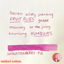 Load image into Gallery viewer, Gourmet Pens x Ink Institute - 02 Saskatoon Berry Pie Ink