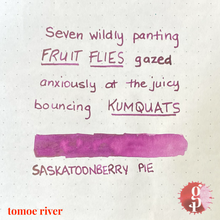 Load image into Gallery viewer, Gourmet Pens x Ink Institute - 02 Saskatoon Berry Pie Ink