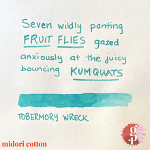 Load image into Gallery viewer, Gourmet Pens x Ink Institute - 03 Tobermory Wreck Ink