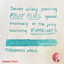 Load image into Gallery viewer, Gourmet Pens x Ink Institute - 03 Tobermory Wreck Ink