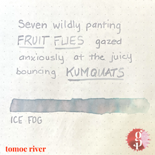 Load image into Gallery viewer, Gourmet Pens x Ink Institute - 04 Ice Fog Ink