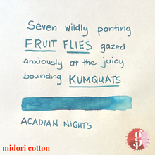 Load image into Gallery viewer, Gourmet Pens x Ink Institute - 05 Acadian Nights Ink