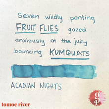 Load image into Gallery viewer, Gourmet Pens x Ink Institute - 05 Acadian Nights Ink