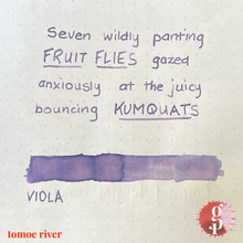 Load image into Gallery viewer, Gourmet Pens x Ink Institute - 06 Viola Ink
