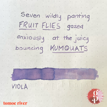 Load image into Gallery viewer, Gourmet Pens x Ink Institute - 06 Viola Ink