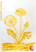Load image into Gallery viewer, Pennonia Gyermekláncfű Dandelion Ink