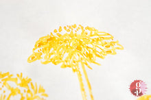 Load image into Gallery viewer, Pennonia Gyermekláncfű Dandelion Ink