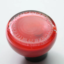 Load image into Gallery viewer, Kakimori Pigment Ink 06 Toppuri Bottled Ink
