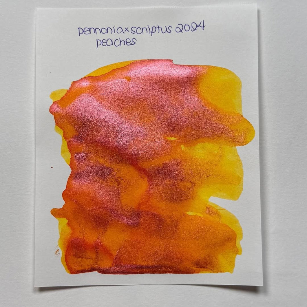 Pennonia x Scriptus Niagara Peach - 4ml Sample