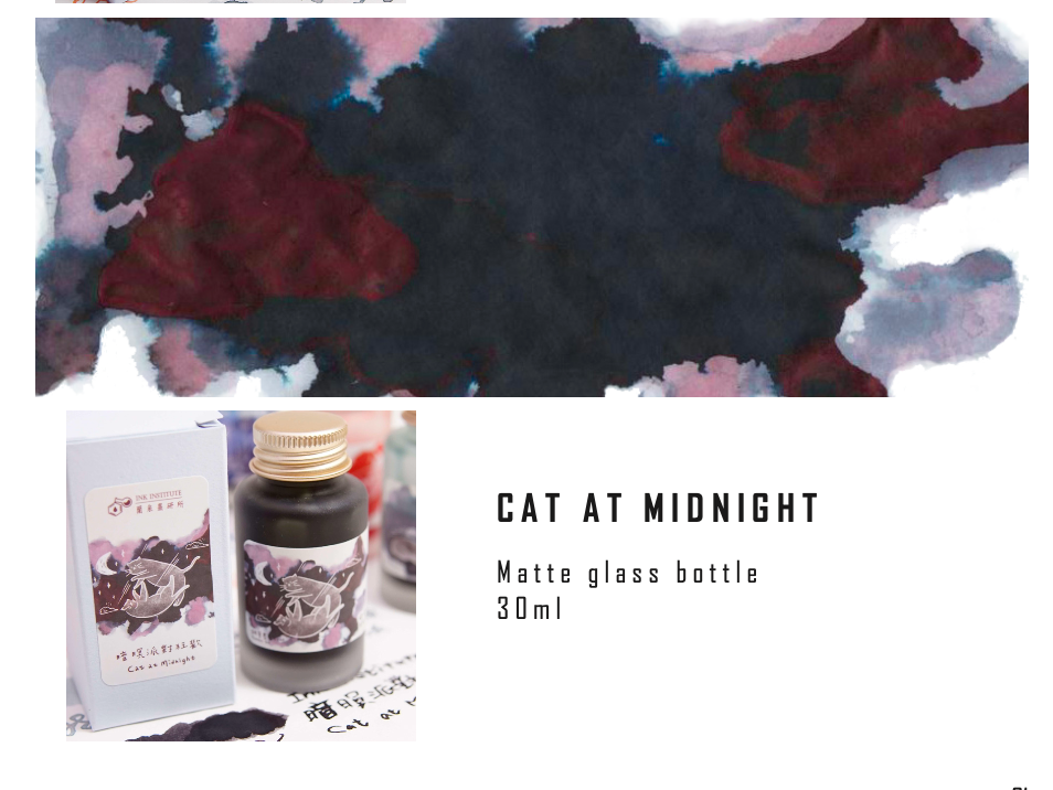Ink Institute CAT - Cat at Midnight 30 ml Bottled Ink – Gourmet Pens Shop