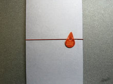 Load image into Gallery viewer, Inkii Notebook Cover Regular Cinnamon
