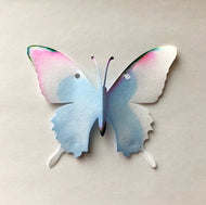 Ink Paper Chromatography Kit