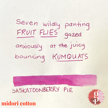 Load image into Gallery viewer, Gourmet Pens x Ink Institute - 02 Saskatoon Berry Pie Ink
