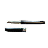 Platinum Plaisir Black Fountain Pen - Fine Nib